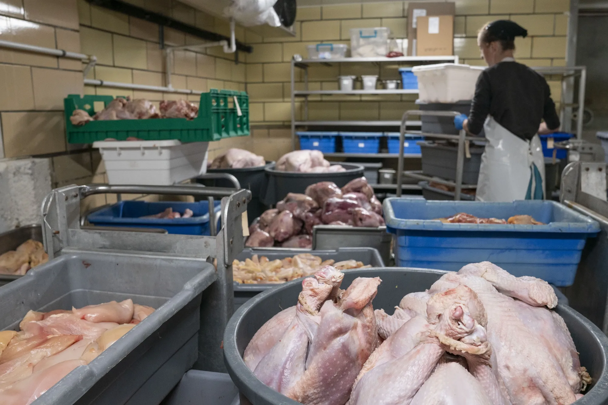 Poultry sits in bins at a processing facility in Baltic, Ohio.