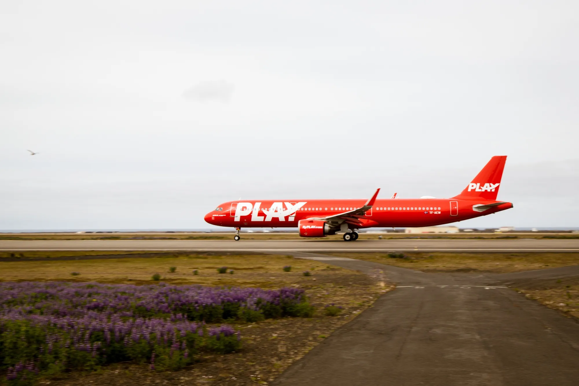 A Play Air Airbus A321neo aircraft taxis ahead of its inaugural flight from Keflavik International Airport, near Reykjavik, Iceland on June 24.