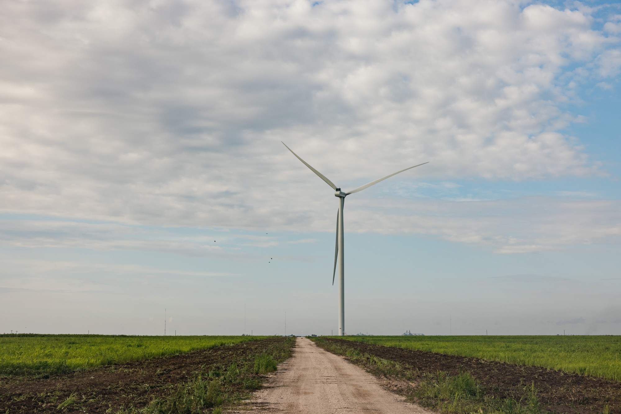 A wind turbine near Brownsville, Texas.
