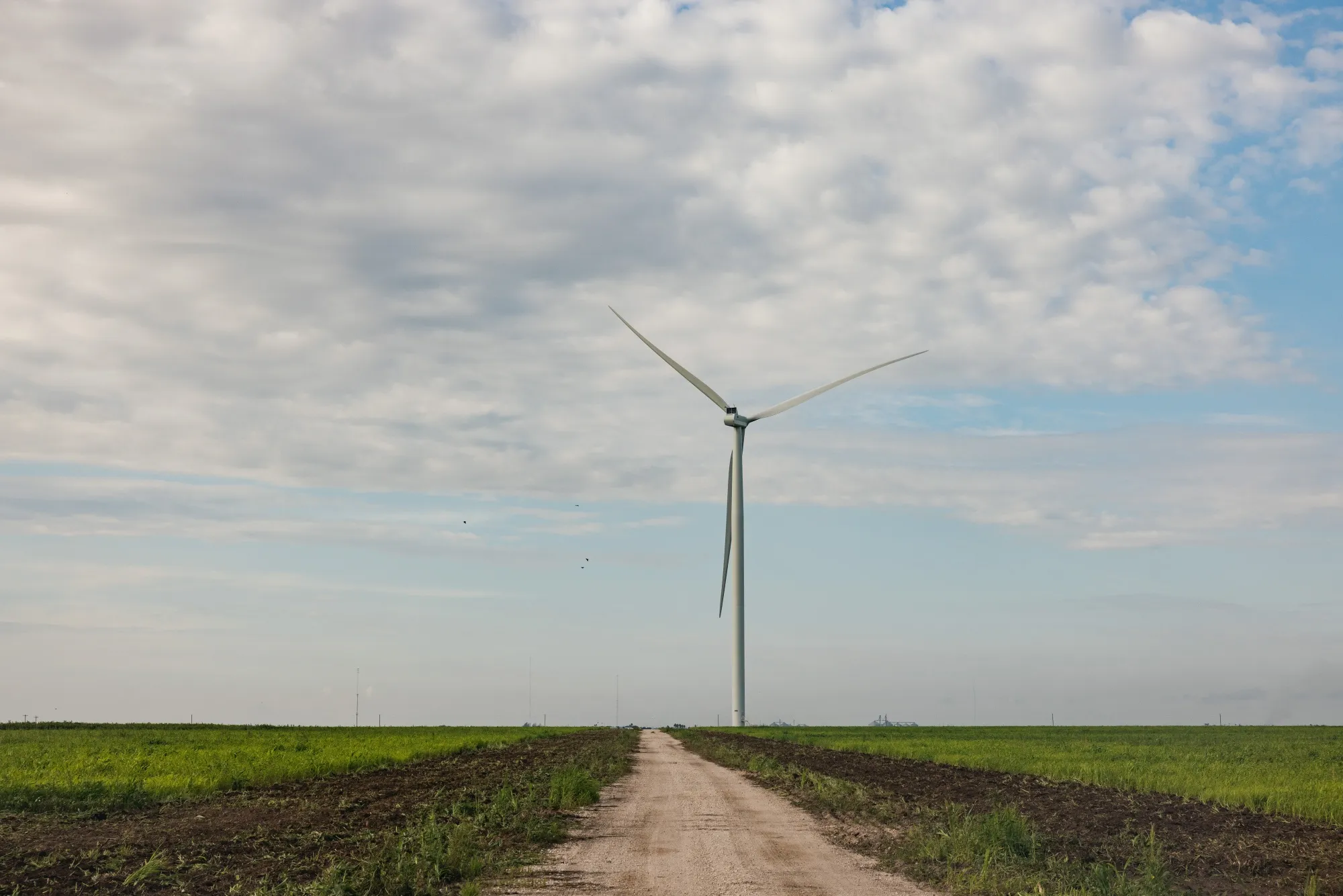 A wind turbine near Brownsville, Texas.