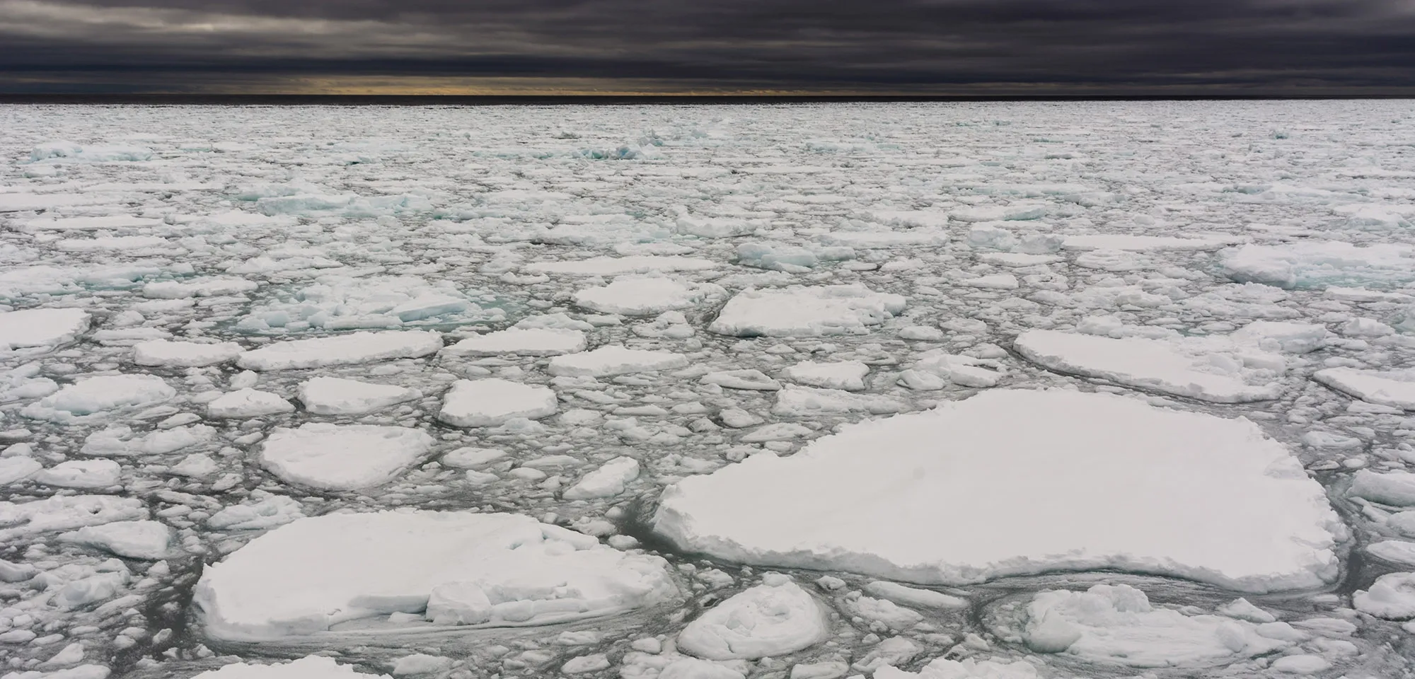 Melting sea ice on the Arctic Ocean.&nbsp;