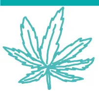 Ballot Measure Roundup: Pot, Plants, and Pay