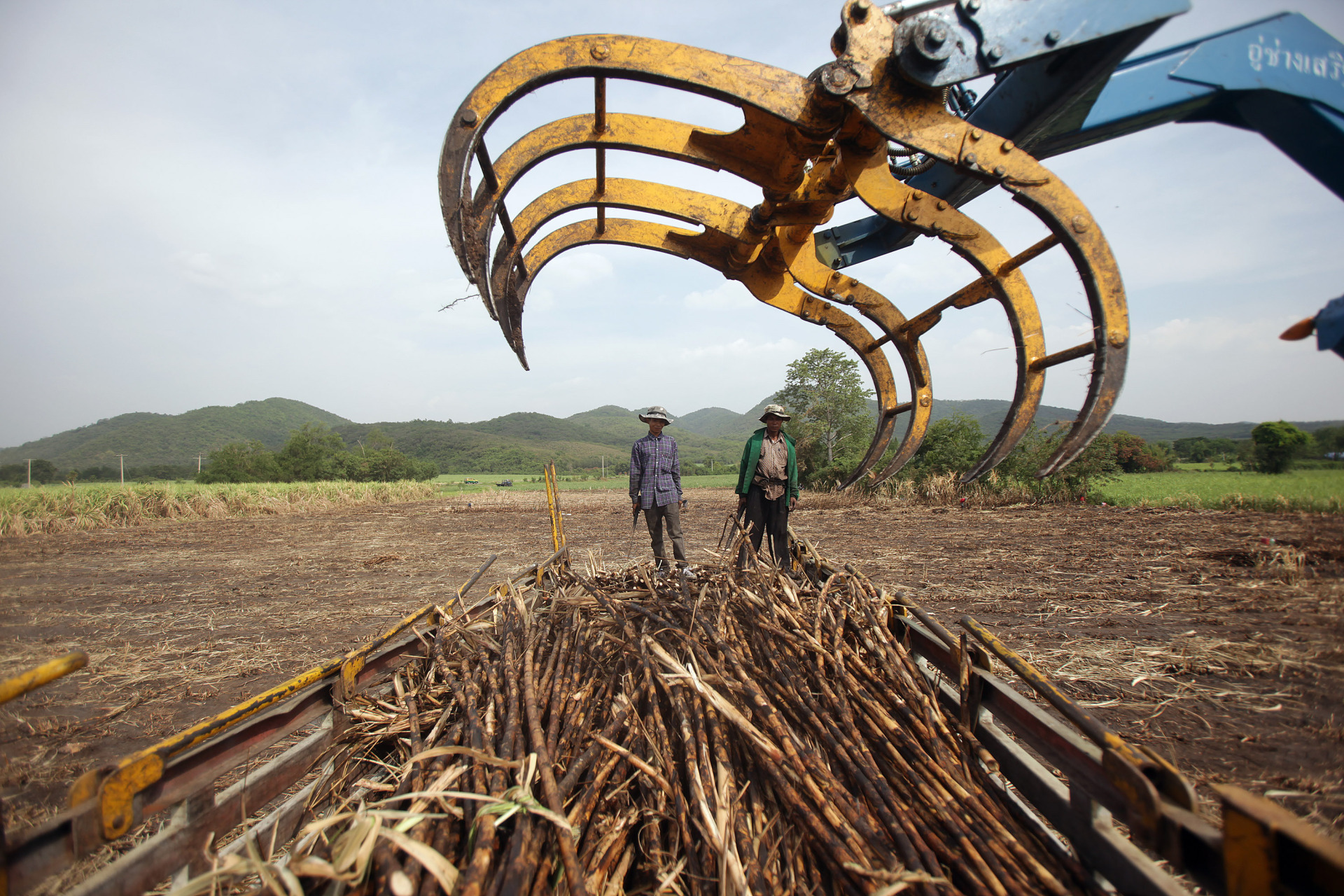 Workers load harvested sugar cane onto a truck in Saraburi province, north of Bangkok, Thailand.