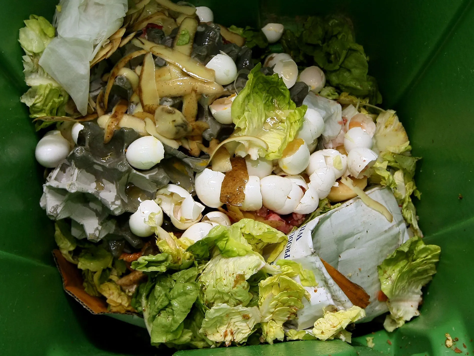 Thousands Of San Francisco Area Restaurants Turn Food Waste Into Fertilizer