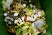 Thousands Of San Francisco Area Restaurants Turn Food Waste Into Fertilizer