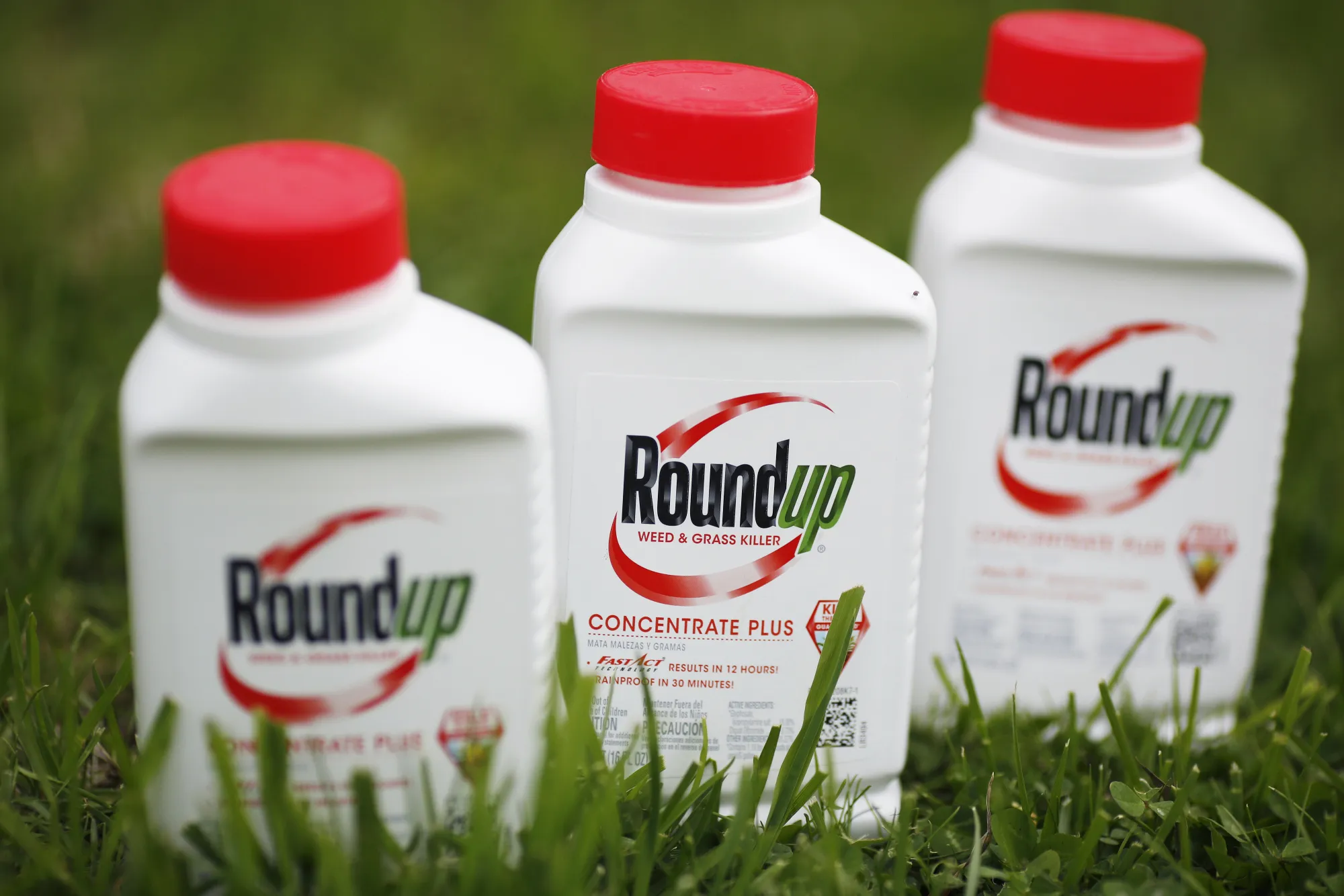 Monsanto’s&nbsp;Roundup herbicide.
