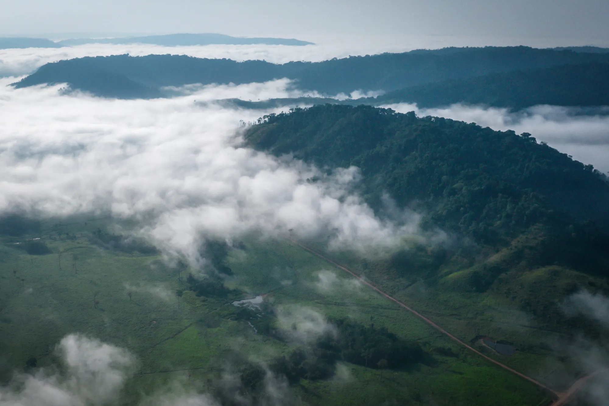 An environmentally protected area near Sao Felix do Xingu, Para state, on Oct. 5, 2021.&nbsp;
