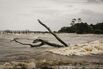 Tropical Storm Barry Set To Dump Two Feet Of Rain On Louisiana 