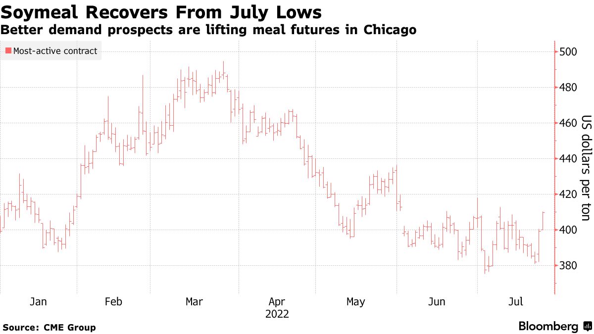 Supply-Chain Hiccups Foil Popeyes' Efforts to Rid Chicken of MSG - Bloomberg