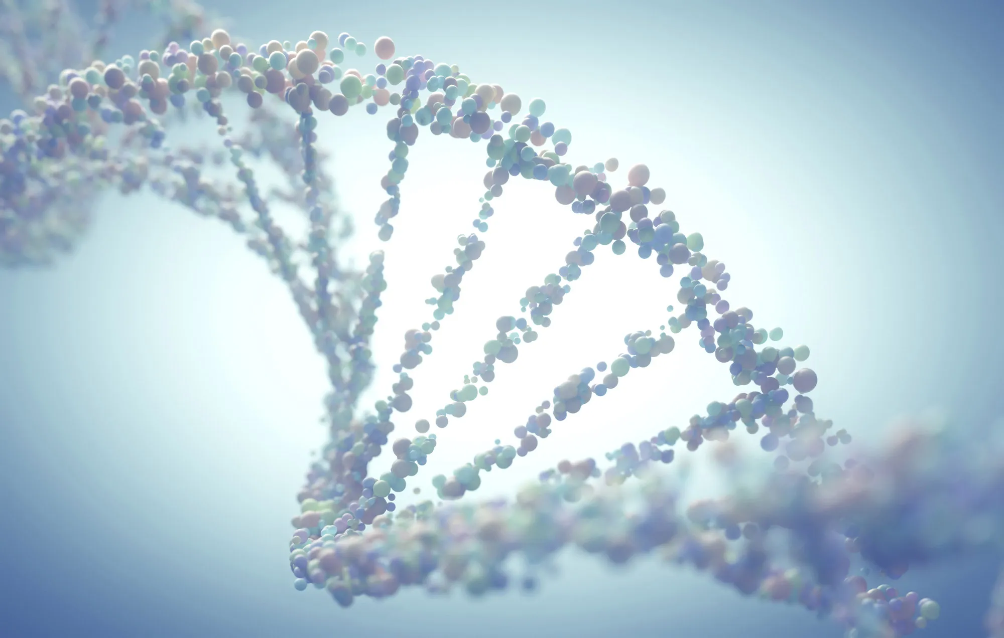 DNA (deoxyribonucleic acid) double helix