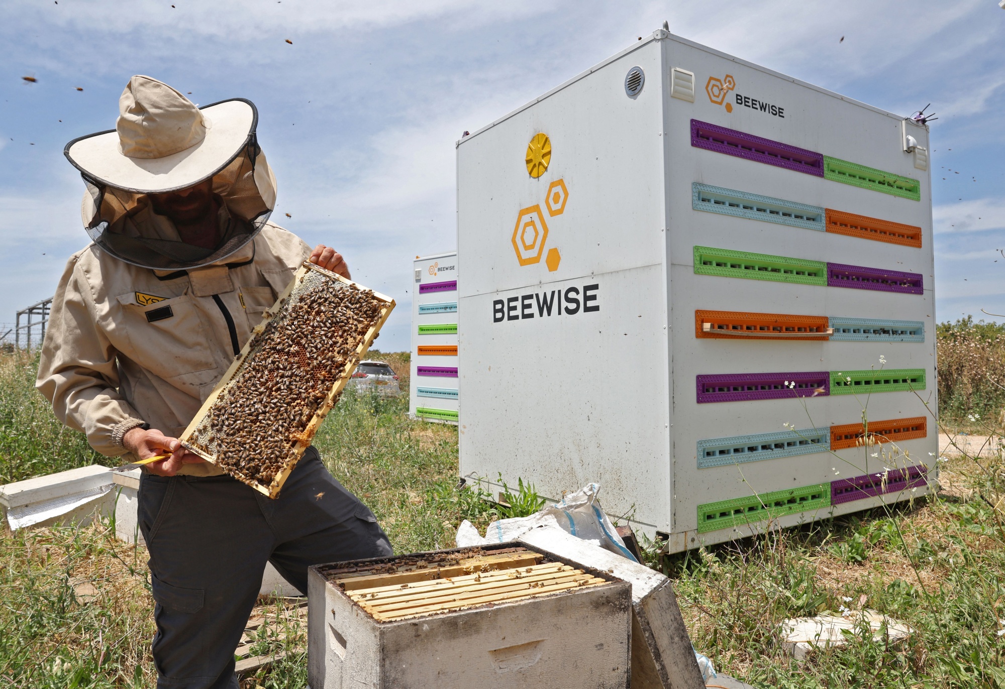 Beekeeper Career Profile and Job Outlook
