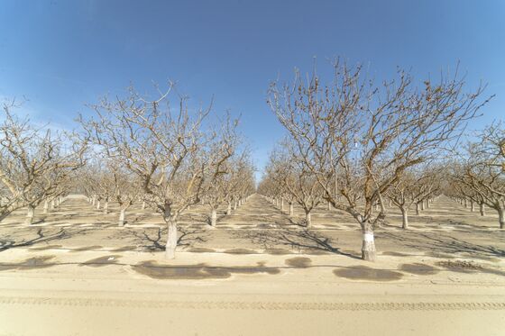 California’s Epic Drought Is Parching Reservoirs and Worrying Farmers