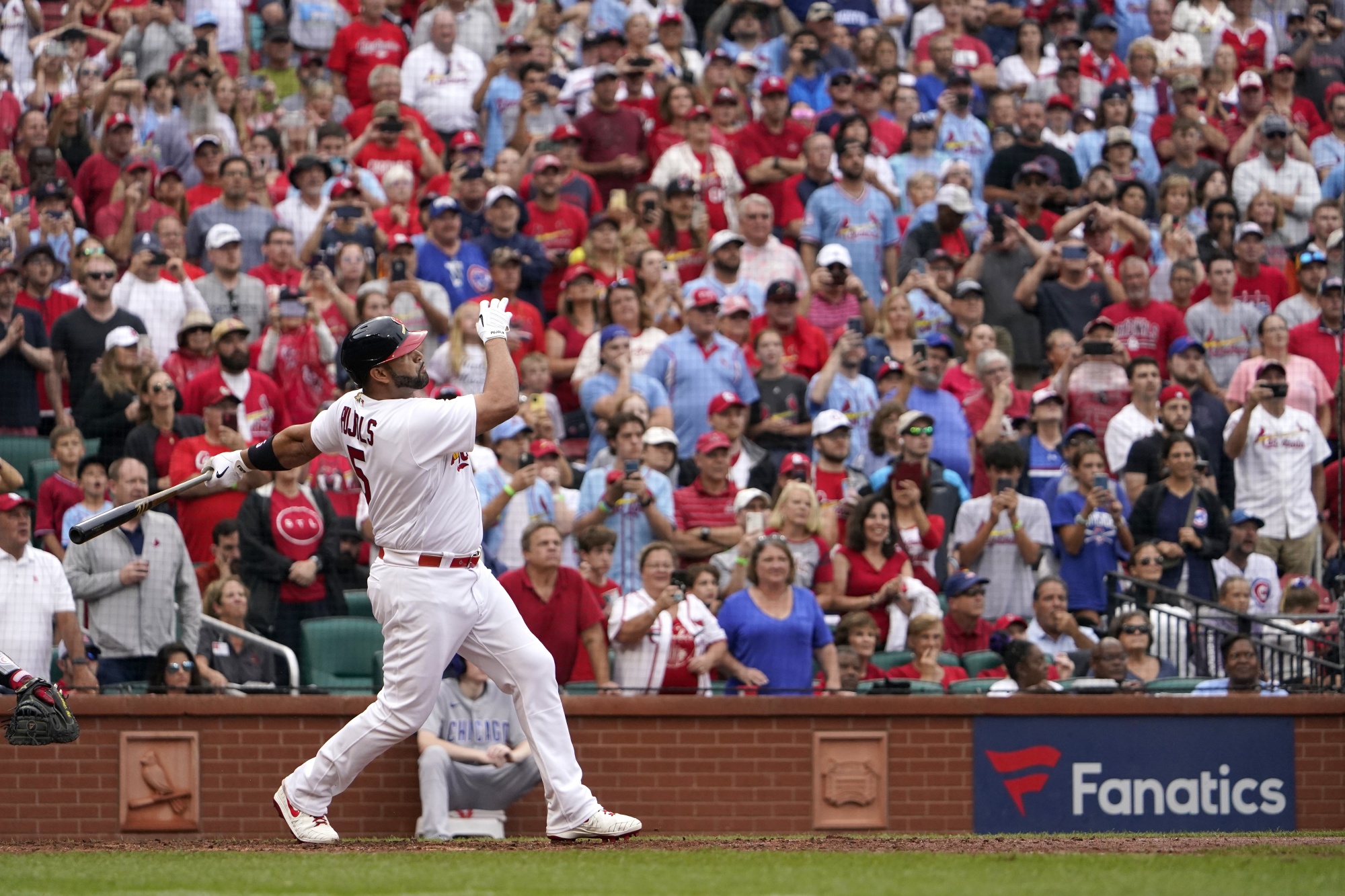 Pujols Chasing Home Run History as Cardinals Chase Playoffs - Bloomberg