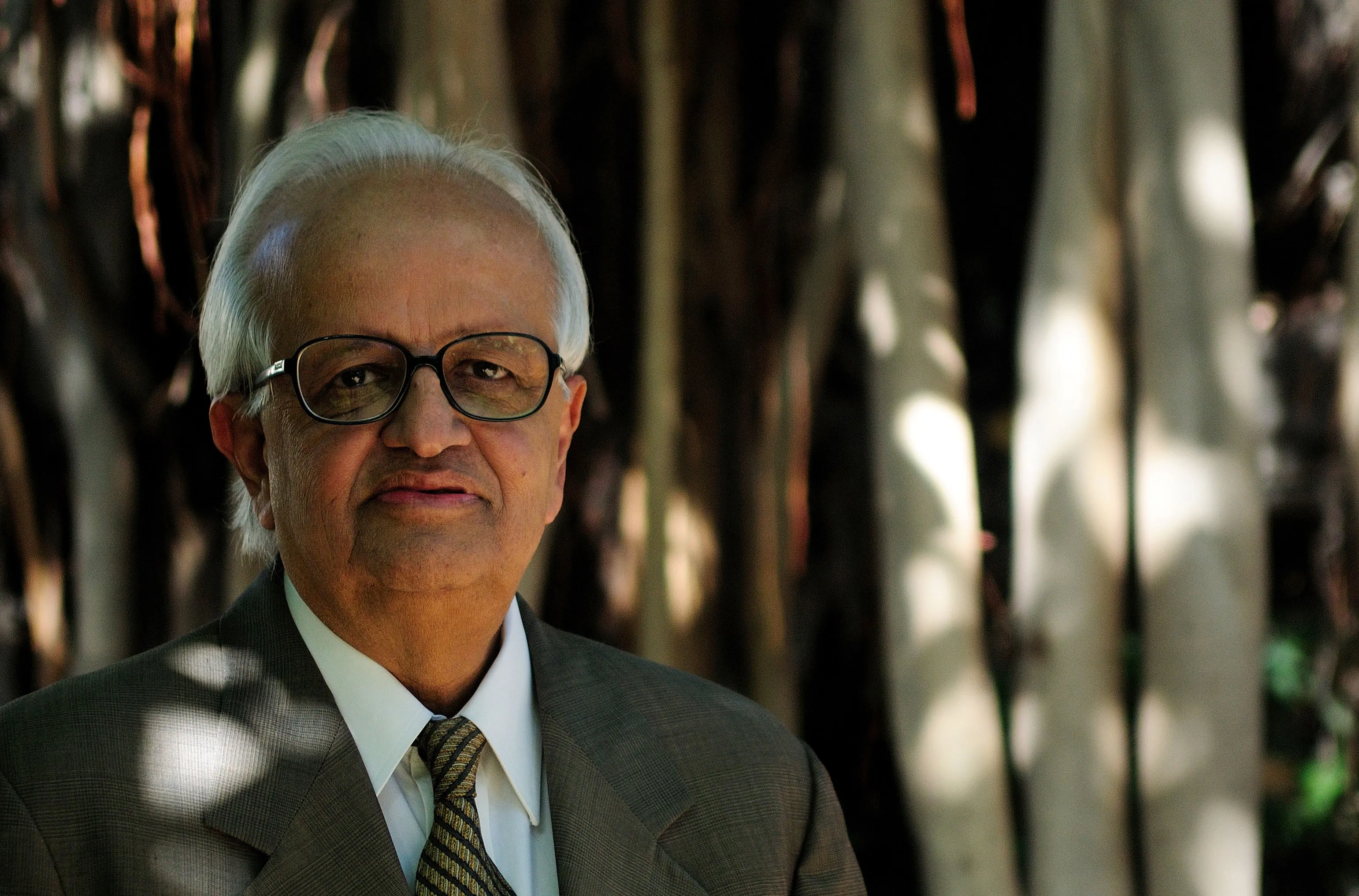 Delhi SIR Notice Issued To Former RBI Governor Bimal Jalan And Ex-IAF Chief Browne