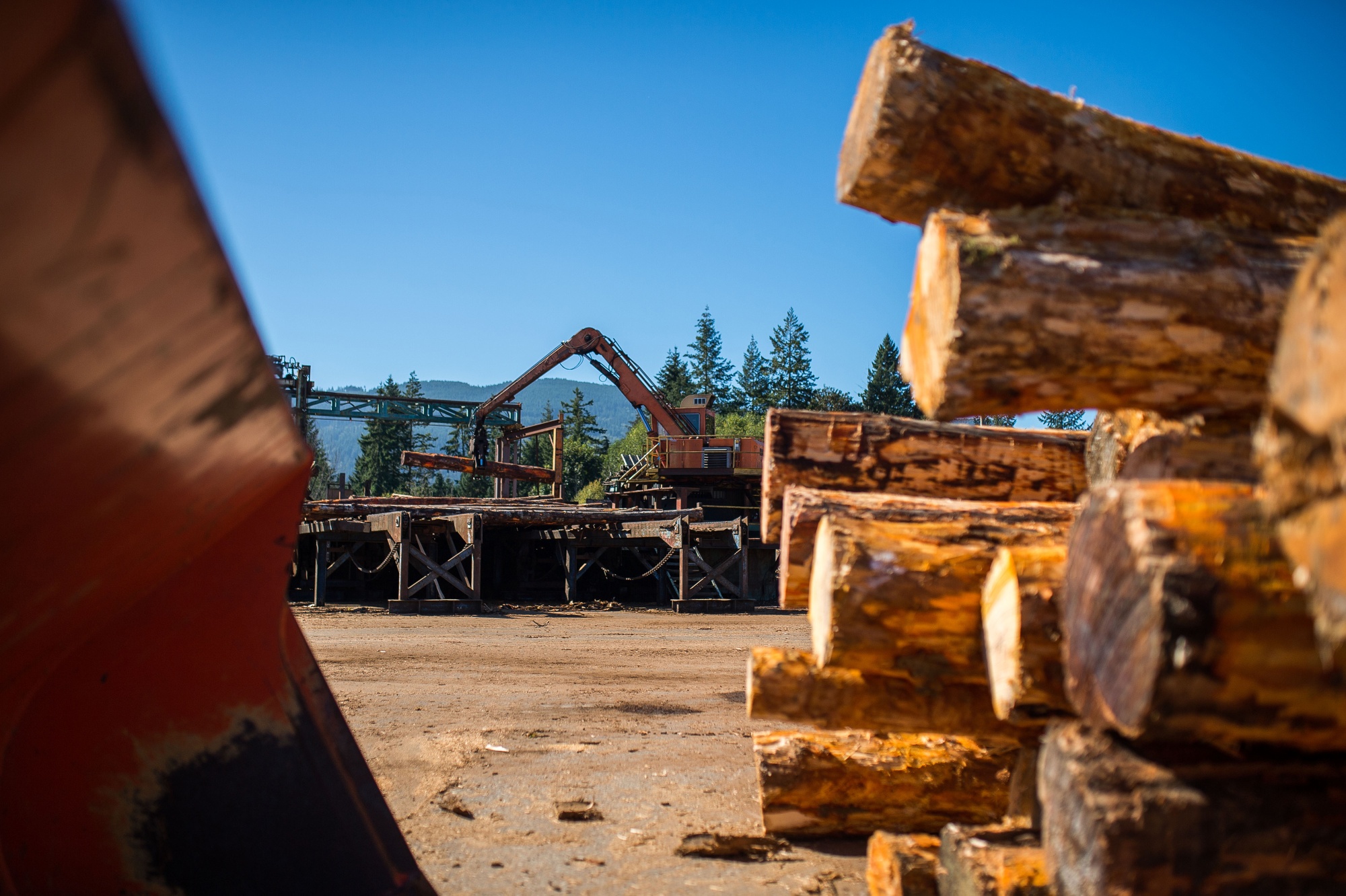 Lumber Prices Commodities Send Loonie Soaring, Creating Quandary for