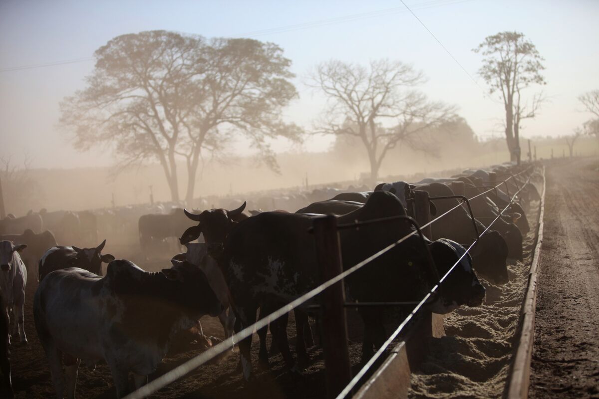Brazil Beef Shipper Minerva to Buy Rival Assets for $1.5 Billion