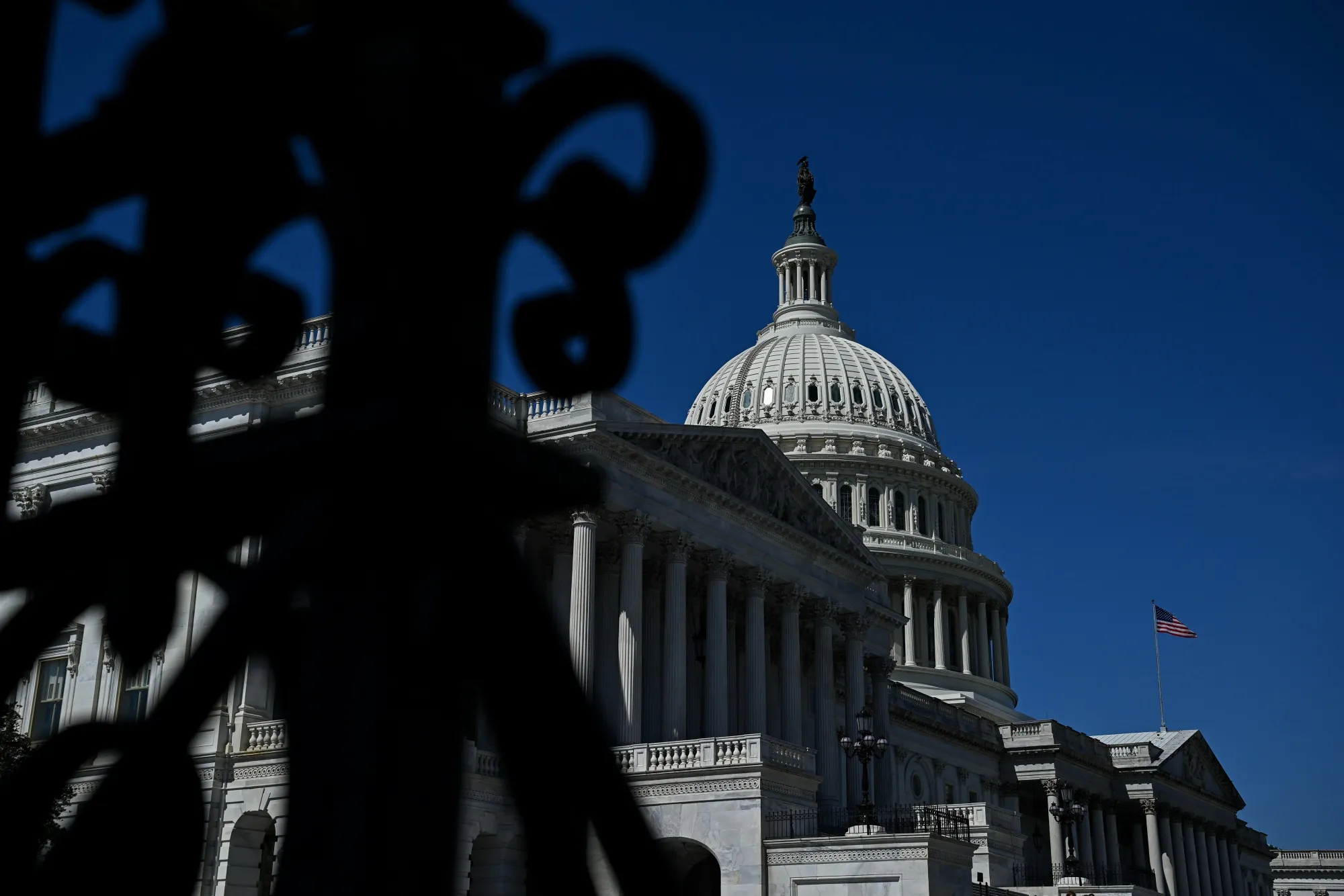The US Capitol in Washington, DC.