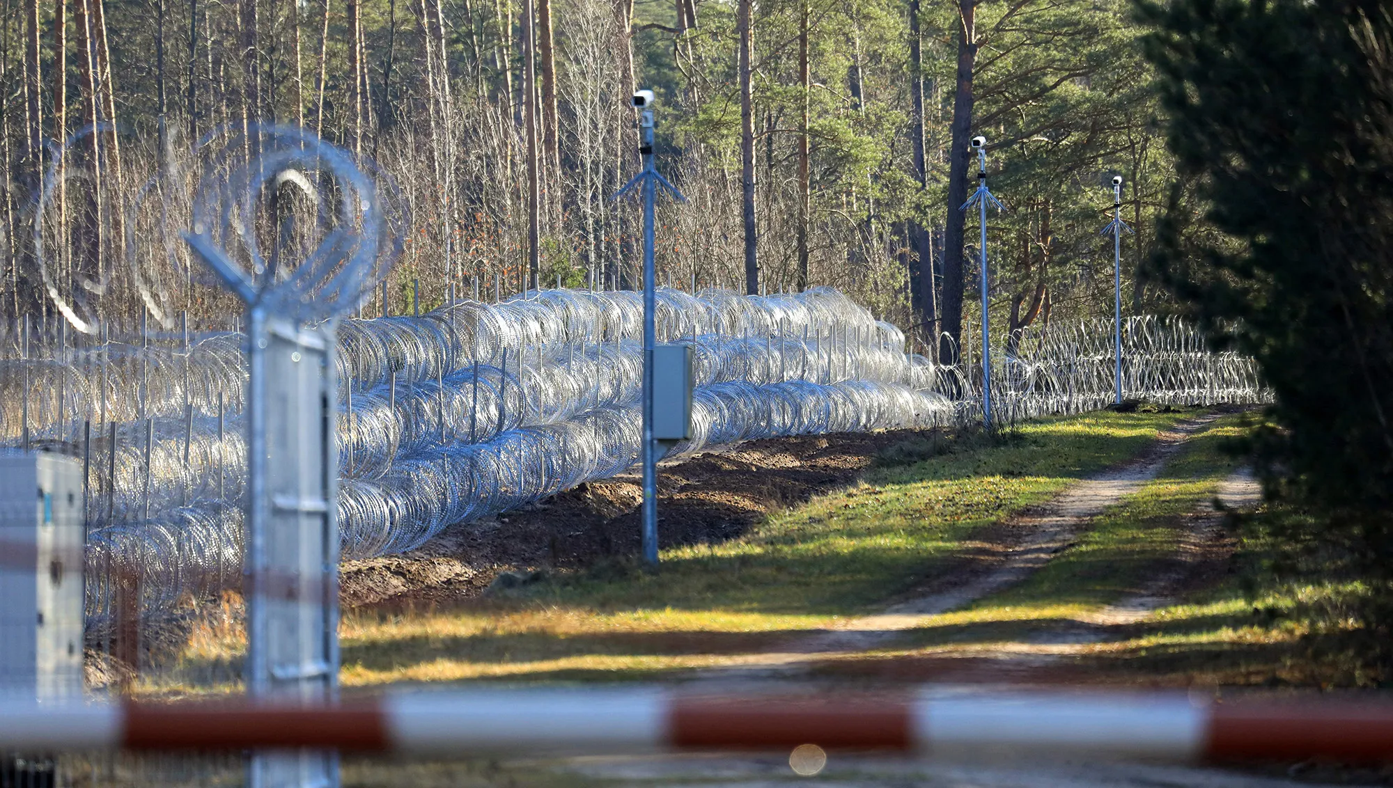 Barbed wire fence&nbsp;at the Lithuanian-Belarusian border in Sadziunai, Lithuania.