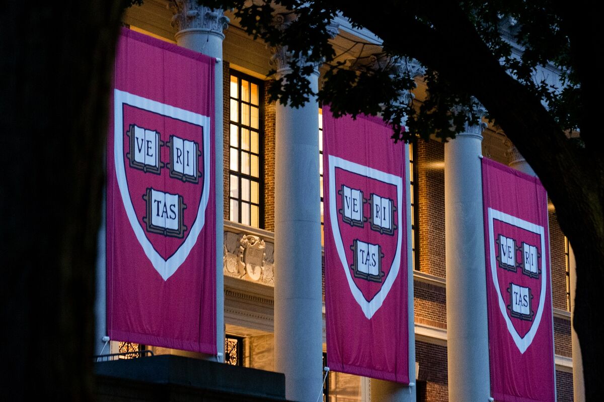 What Happens if Harvard Cuts Down on Foreign Students?