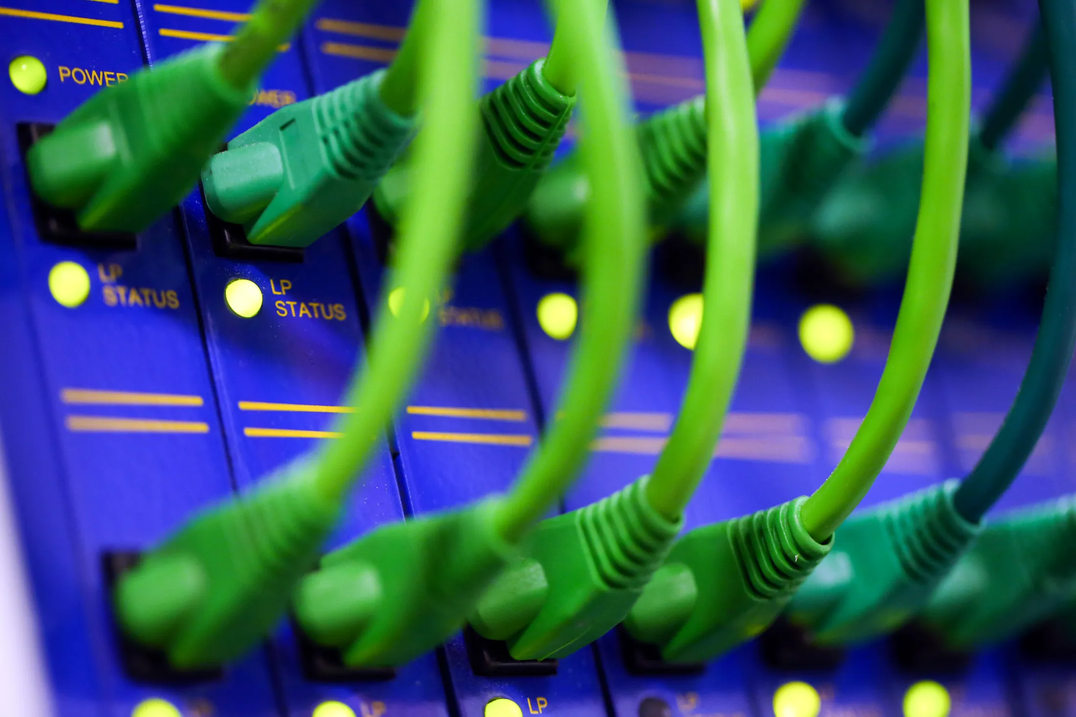 High End Data Cables Feed Into Servers