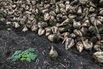 FRANCE-AGRICULTURE-ECONOMY-FOOD-INDUSTRY