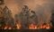 AUSTRALIA-WEATHER-FIRES