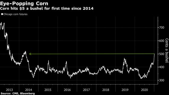 Corn Powers to $5 and Soybeans Spike 