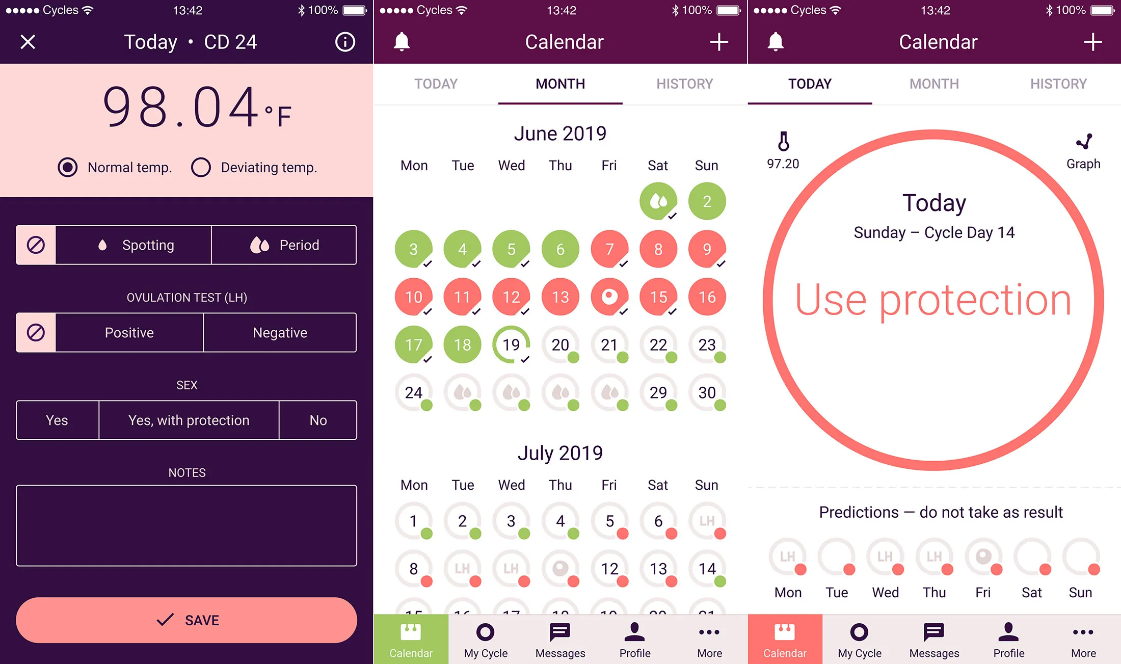 The Natural Cycles app.