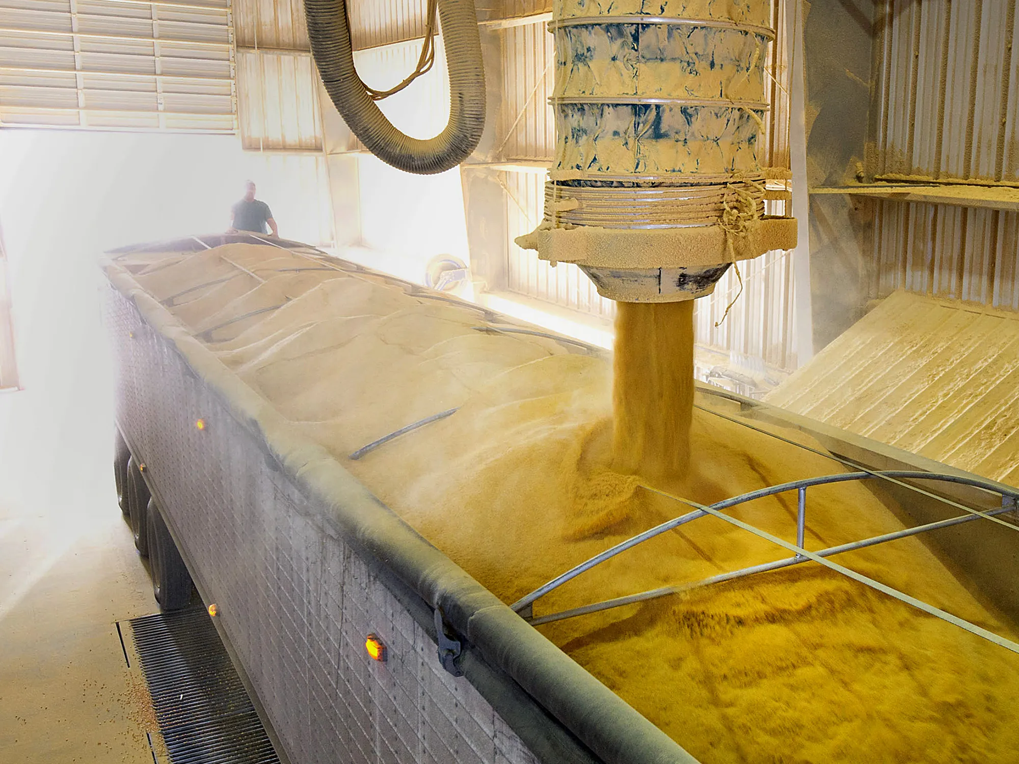 Dried distillers grains, a byproduct of ethanol production used as feed for livestock, sit in a storage area outside an ethanol plant in Underwood, North Dakota.