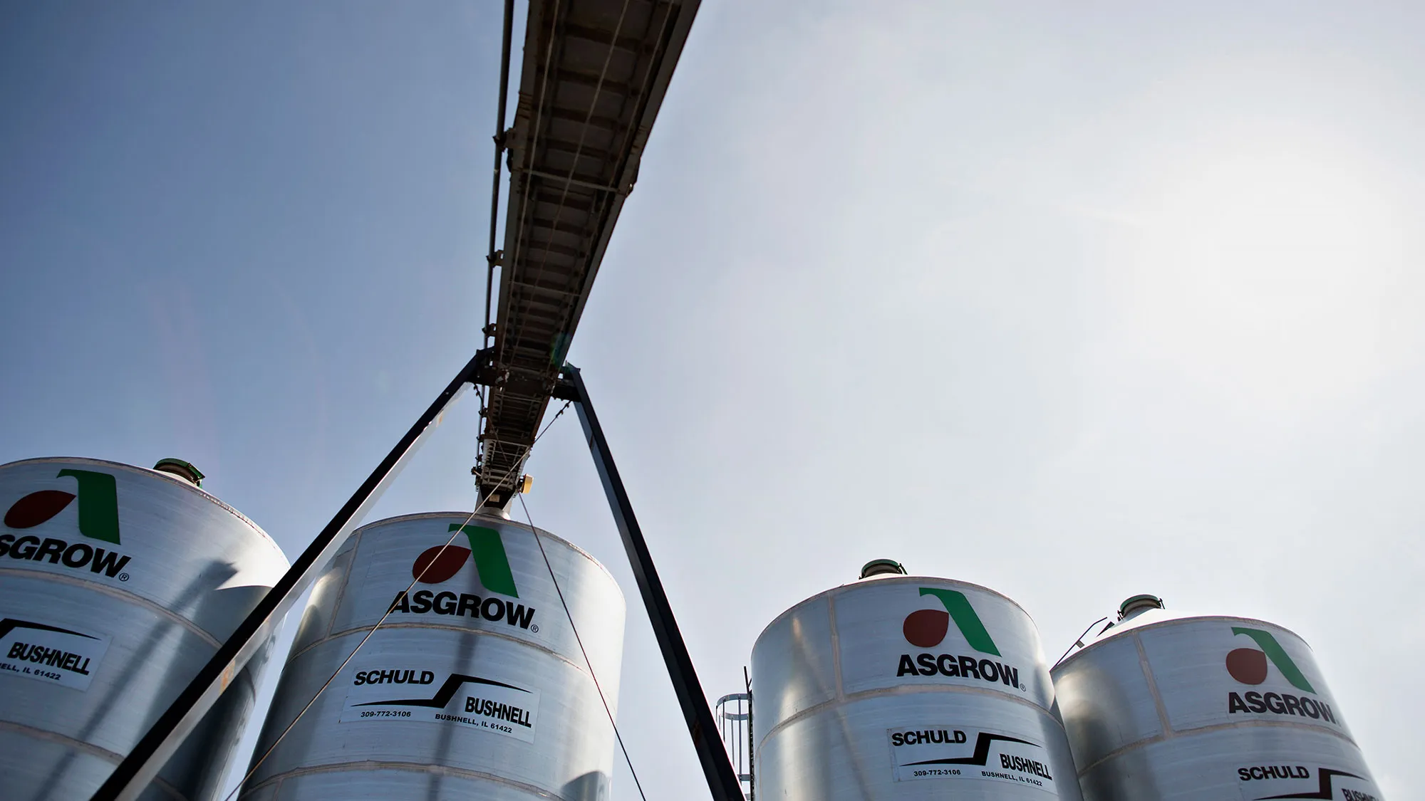 Monsanto Co. Asgrow soybeans in Manlius, Illinois.
