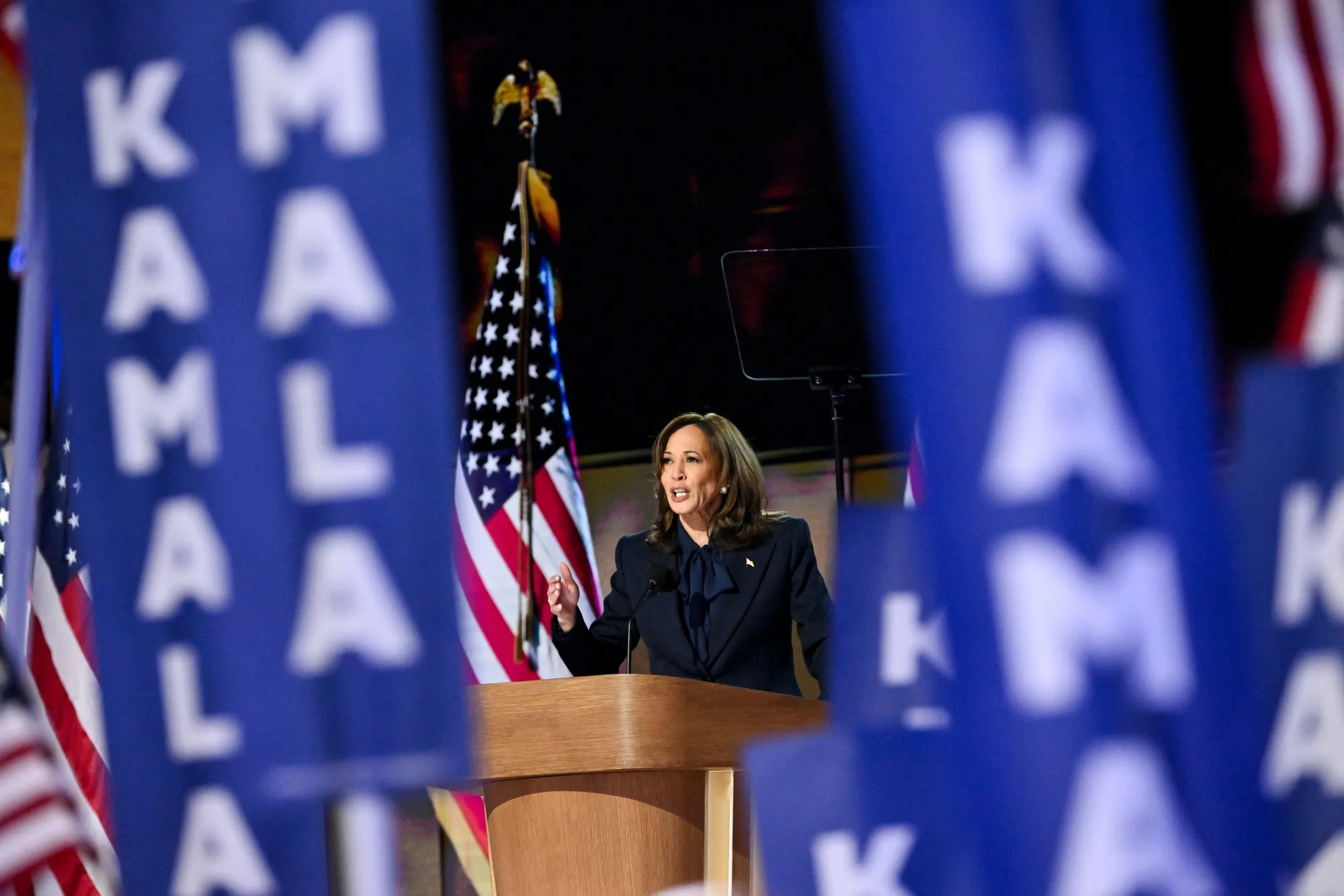 Kamala Harris speaks during the Democratic National Convention in Chicago, Illinois, on Aug. 22.