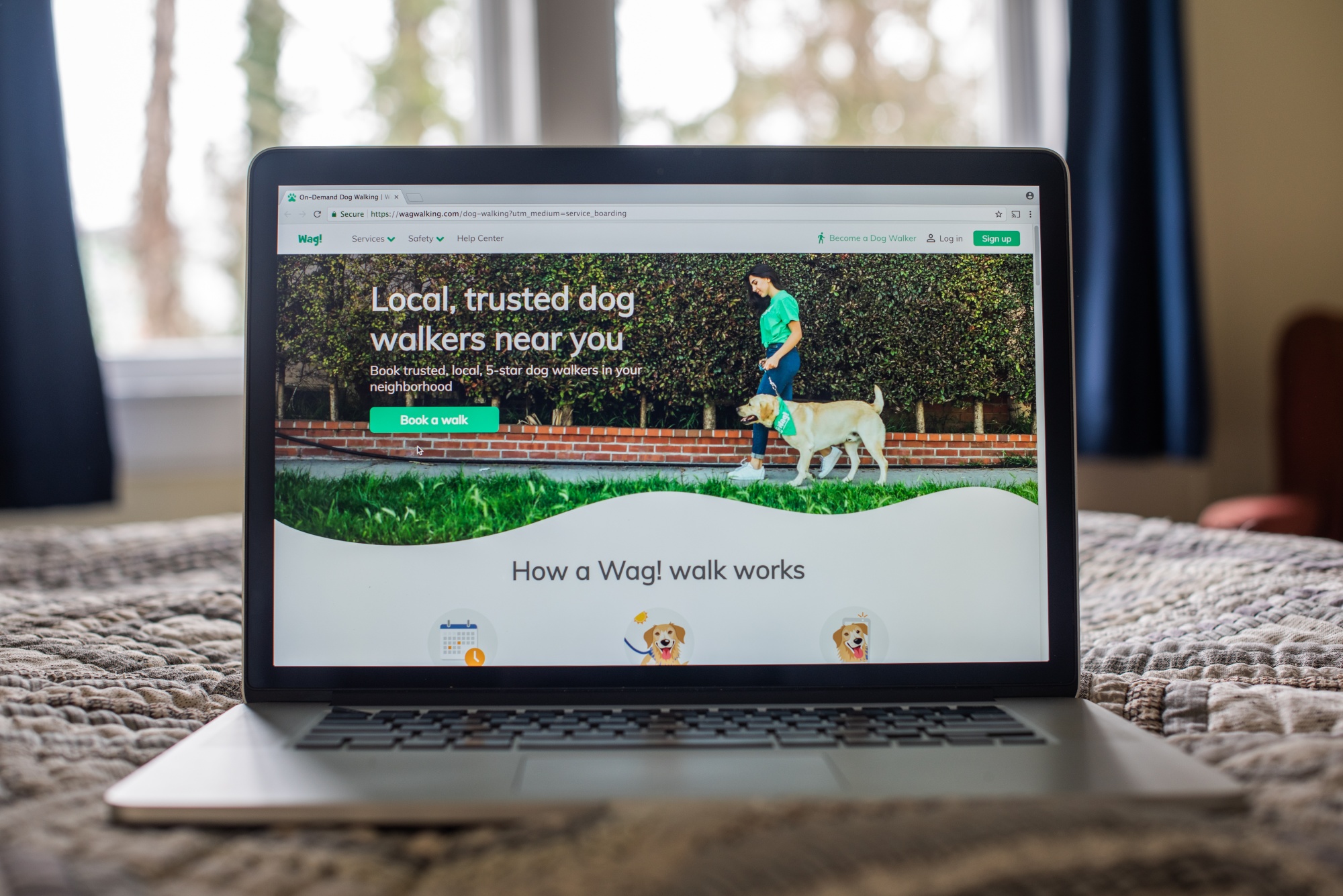 All Those Pandemic Puppies Mean Business For Dog-Walking Apps