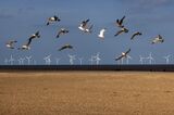 The Scroby Sands Offshore Wind Farm As UK Plans New Energy Law