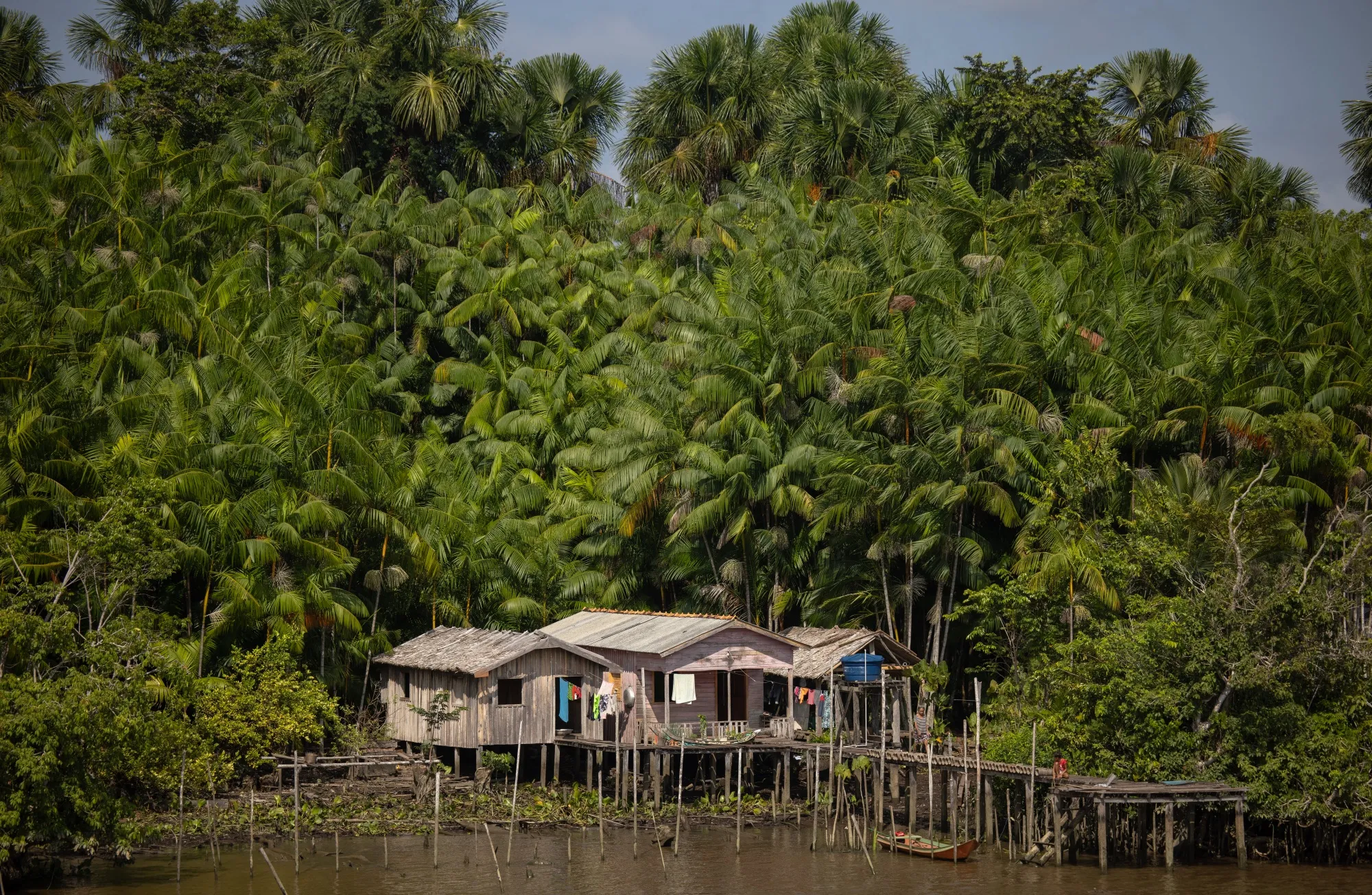 Casas em uma comunidade ribeirinha em um afluente do Rio Amazonas, perto de Breves, no estado do Pará