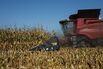 A Corn Harvest As US Exports Projected To Increase In 2024