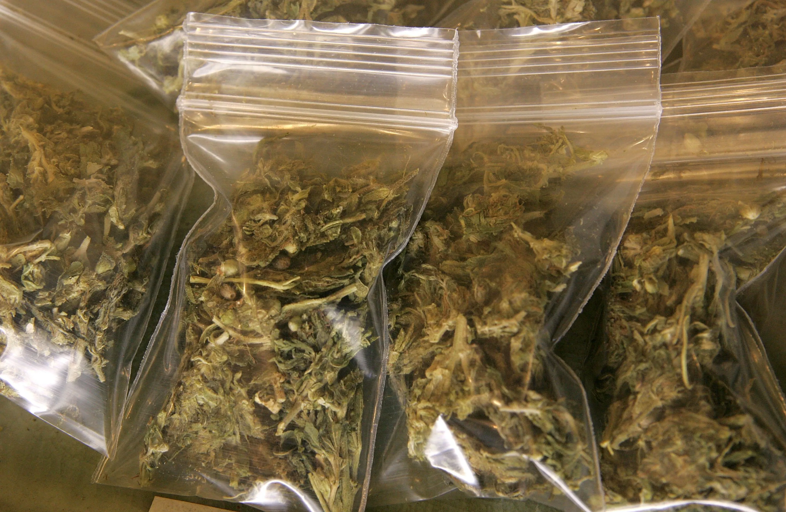 Baggies of medicinal marijuana at a&nbsp;cannabis dispensary.&nbsp;