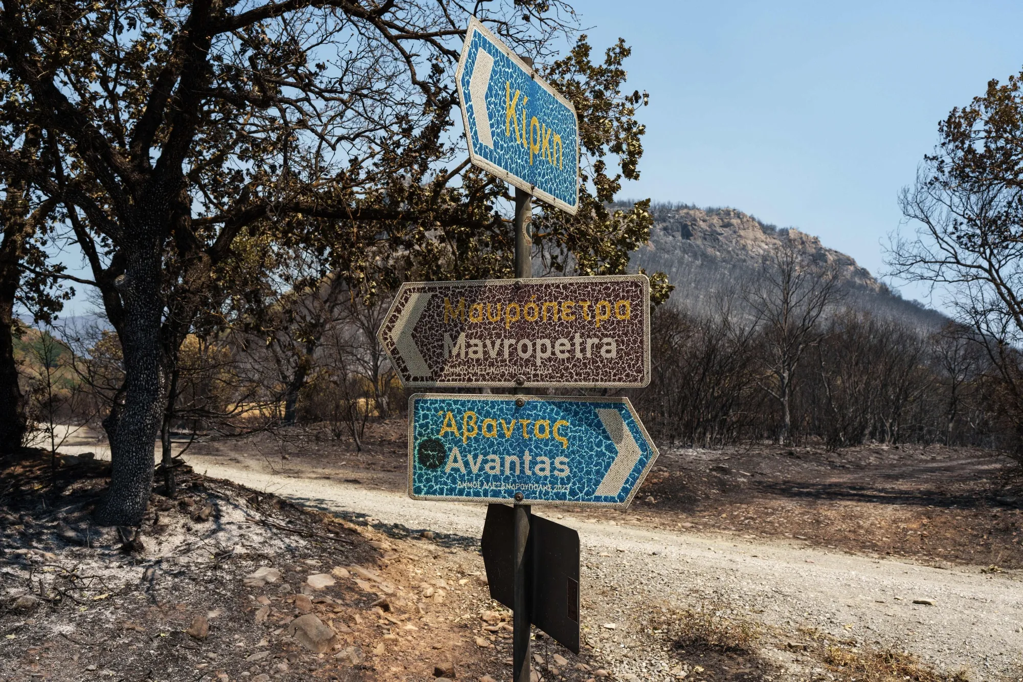 Burnt road signs in a forest following a wildfire in Alexandroupolis, Greece.