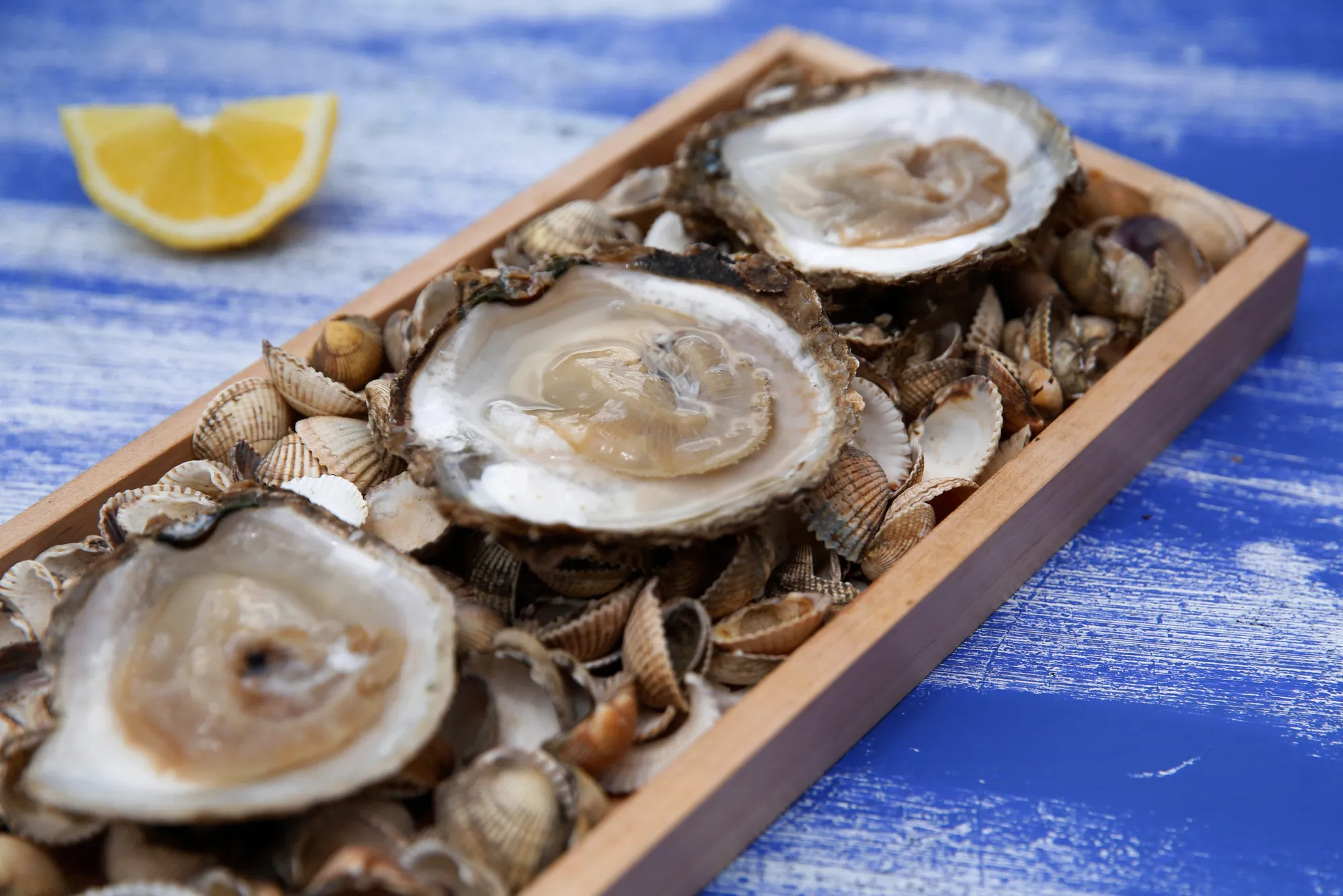 Whitstable Oysters served on a bed of shells at The Sportsman near Whitstable, U.K.
