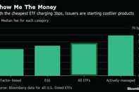 relates to Zero-Fee ETFs Are Elephant in Room at Annual Industry Summit