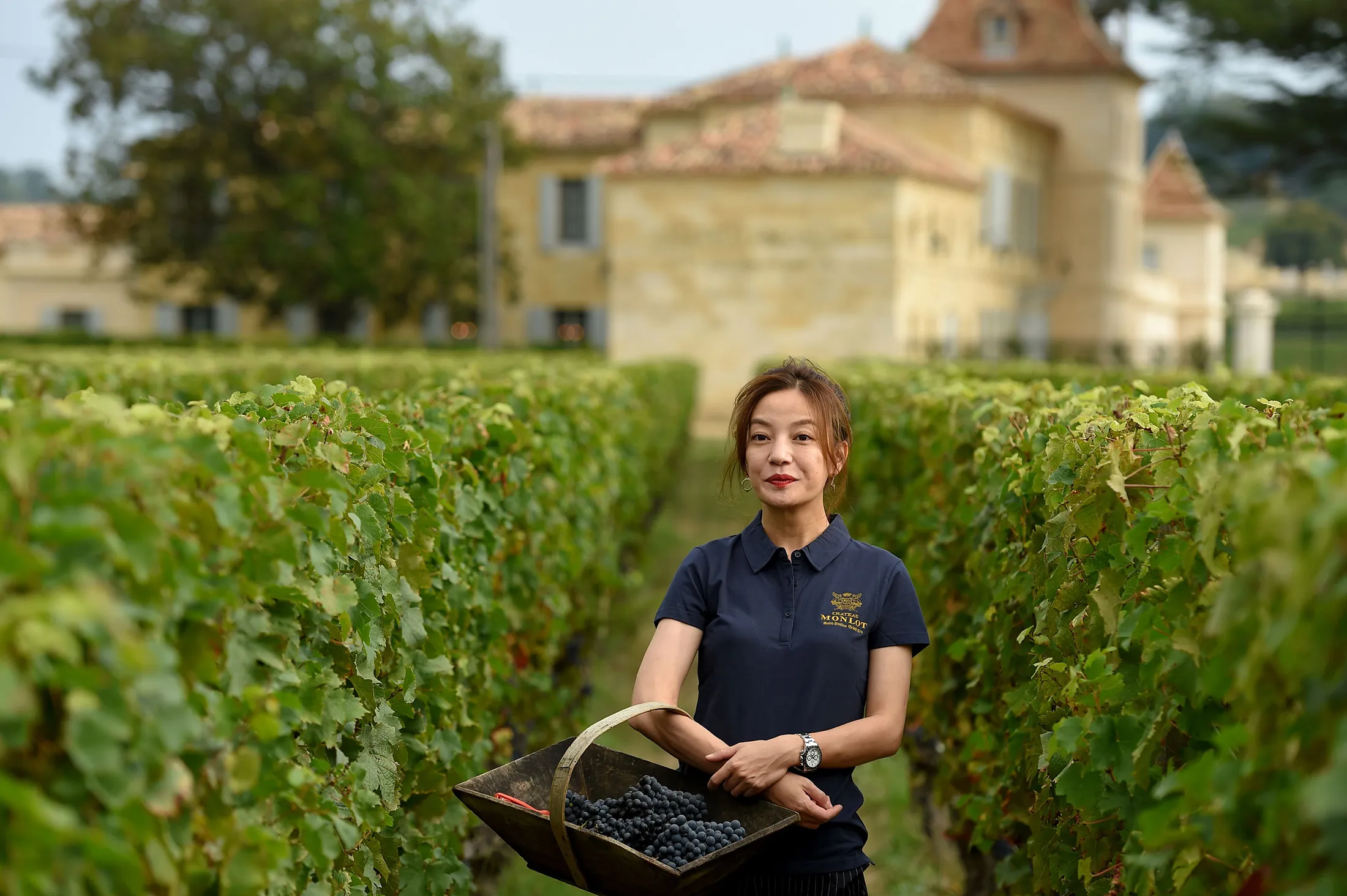 Zhao Wei in her vineyard of Chateau Monlot in France.