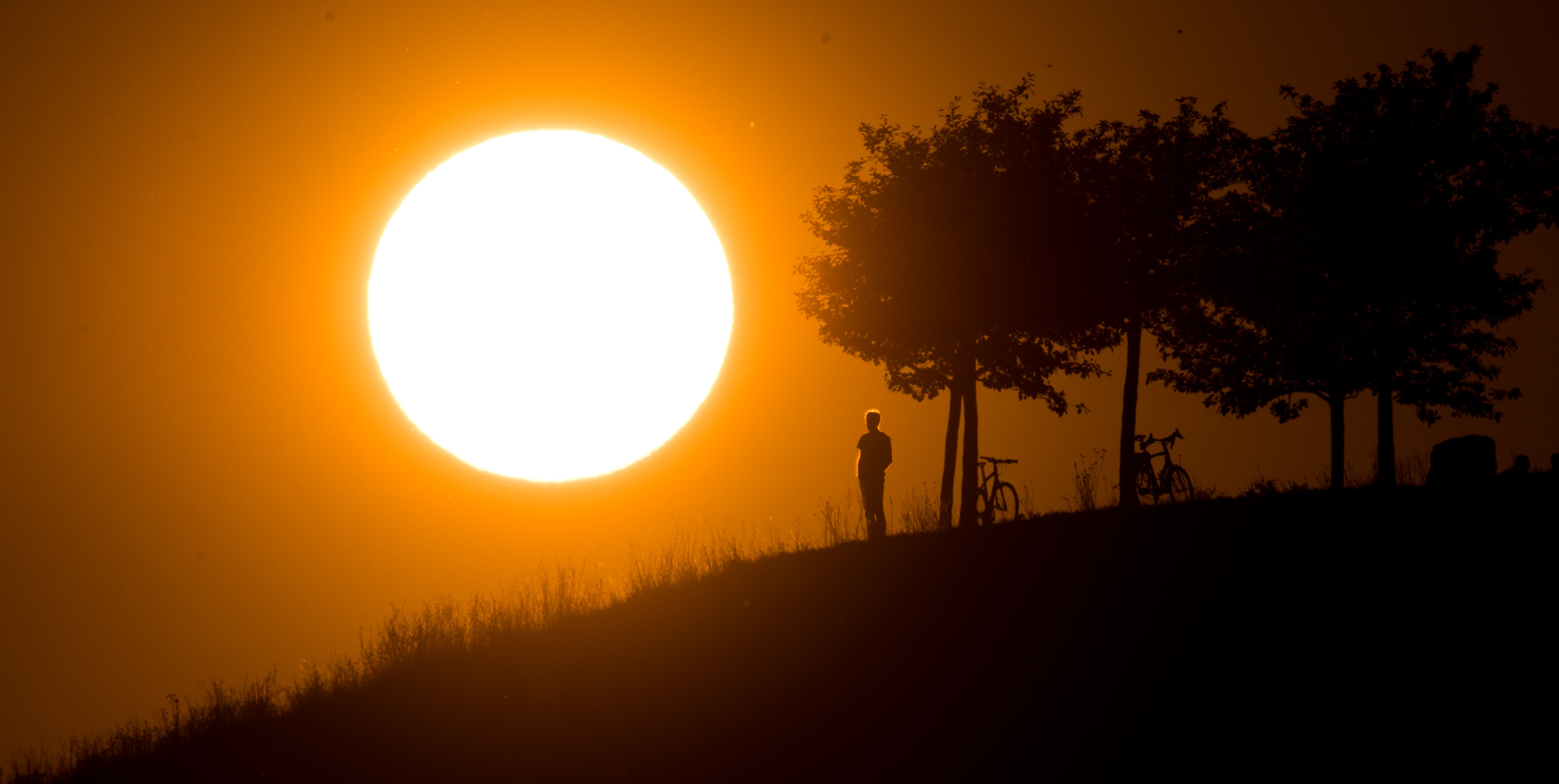 Sunset Provision History in Washington Bloomberg