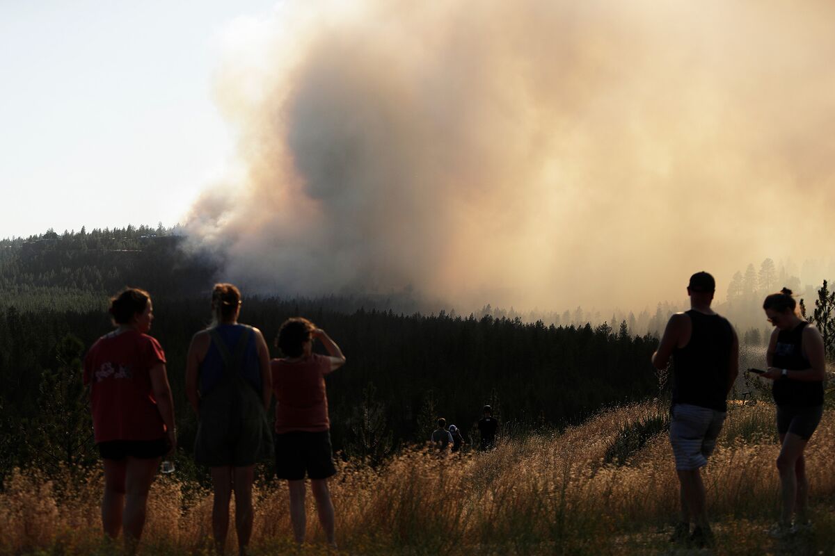 How Climate Change Is Priming More of the World to Burn
