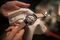 An employee cleans the back of a Bremont Wright Flyer wrist watch