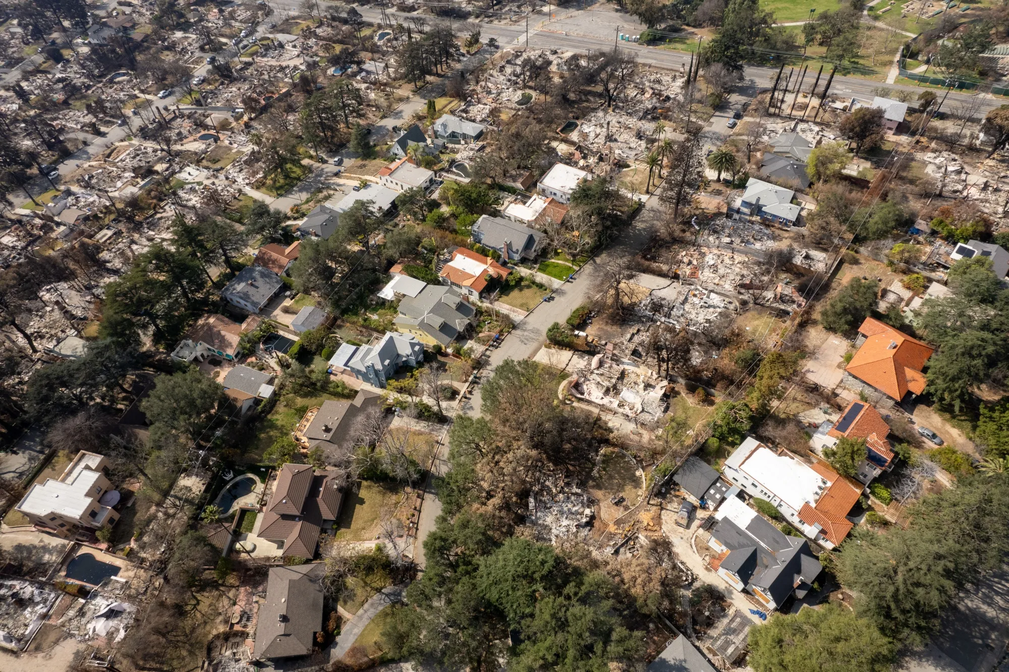 Homes destroyed in the Eaton Fire in Altadena in February.