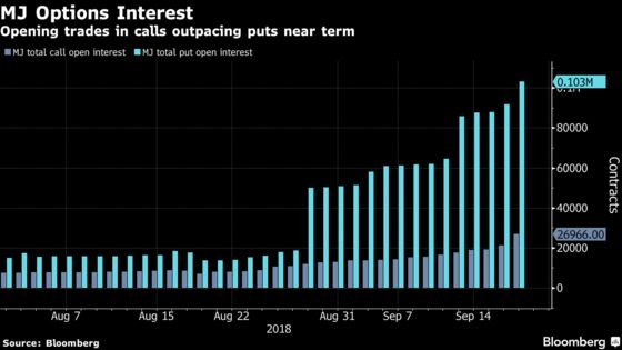 Pot Frenzy Has Options Traders Piling In