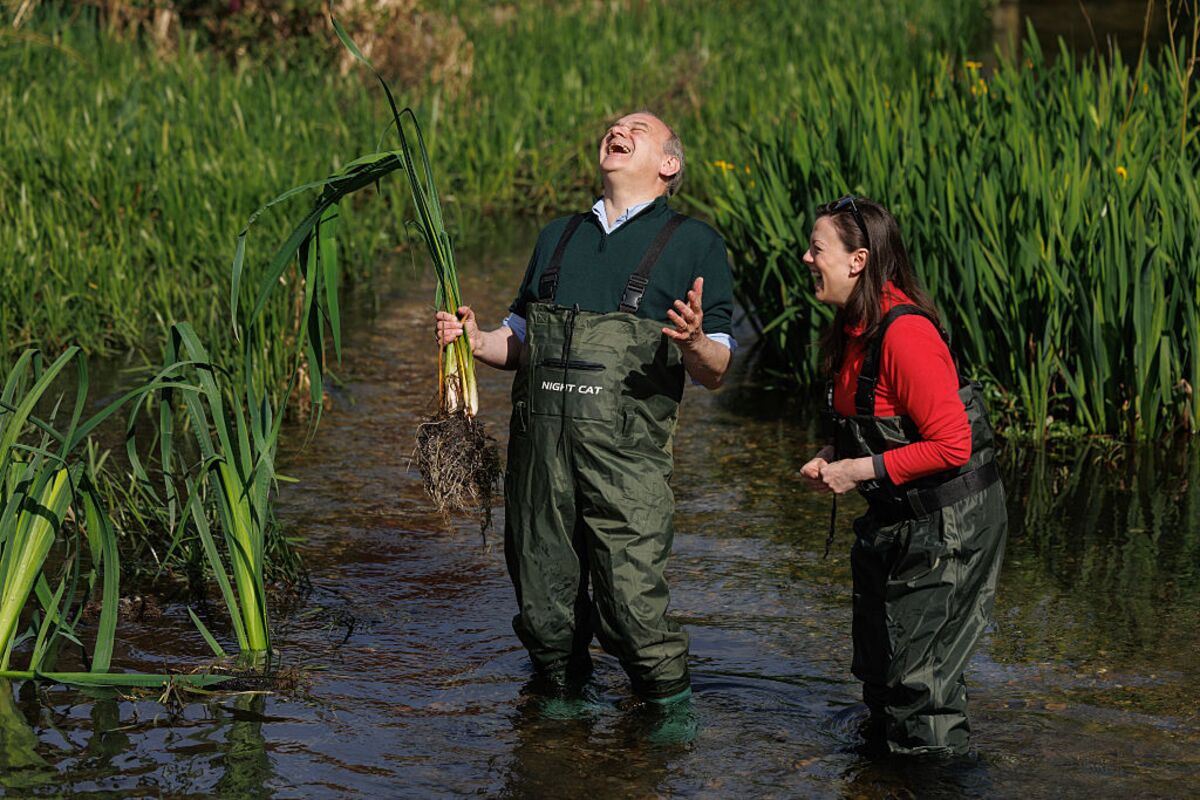 Liberal Democrats Celebrating