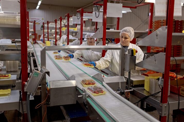 Tomato Farmers In The U.S. And Mexico Grapple With New Tariffs On Mexican Tomatoes