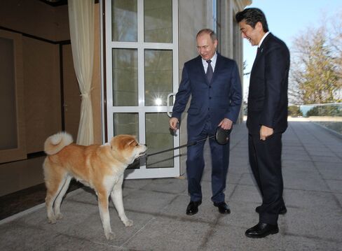 President Vladimir Putin Receives World Leaders to Sochi