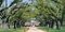 Most Expensive Electric Utility in South Carolina: Haywood Electric Member Corp.