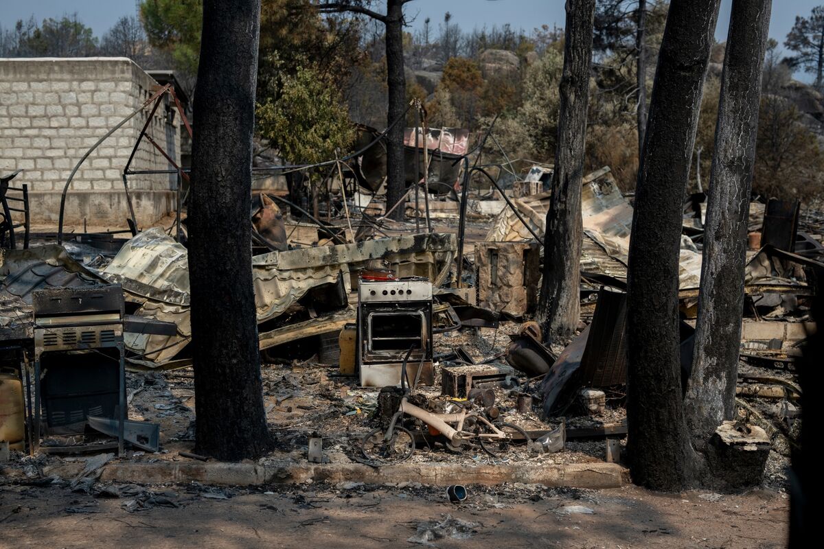 Europe’s Blazing Hot Summer Continues as Wildfires Rage Across the Region